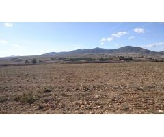 Finca rustica en Venta en Yecla, Murcia