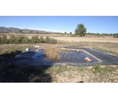 Finca rustica en Venta en Yecla, Murcia