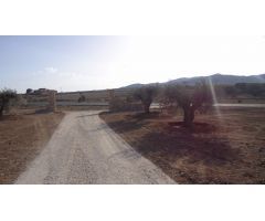 Finca rustica en Venta en Yecla, Murcia