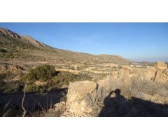 Finca rustica en Venta en La Romana, Alicante