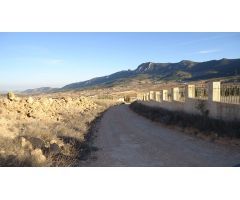 Finca rustica en Venta en La Romana, Alicante