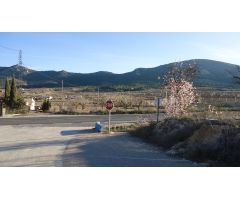 Finca rustica en Venta en La Romana, Alicante