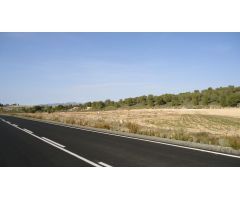 Finca rustica en Venta en Jumilla, Murcia