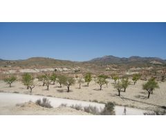 Finca rustica en Venta en Abanillas, Murcia