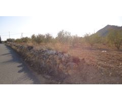 Finca rustica en Venta en Abanillas, Murcia