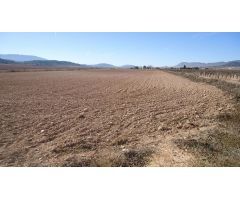 Finca rustica en Venta en Yecla, Murcia