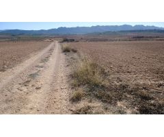 Finca rustica en Venta en Yecla, Murcia