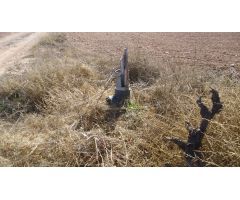 Finca rustica en Venta en Yecla, Murcia