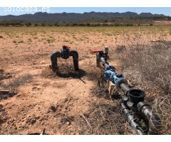 Finca rustica en Venta en Yecla, Murcia