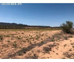 Finca rustica en Venta en Yecla, Murcia