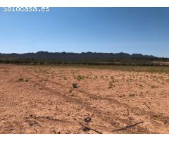 Finca rustica en Venta en Yecla, Murcia
