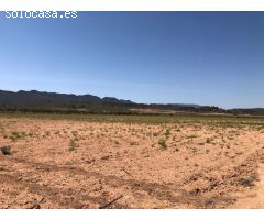 Finca rustica en Venta en Yecla, Murcia