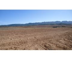 Finca rustica en Venta en Yecla, Murcia