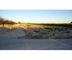 Finca rustica en Venta en Abanillas, Murcia