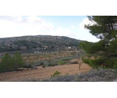 Finca rustica en Venta en Pinós, el/Pinoso, Alicante