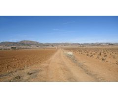 Finca rustica en Venta en Yecla, Murcia
