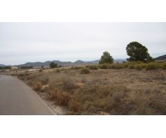 Finca rustica en Venta en Pinós, el/Pinoso, Alicante