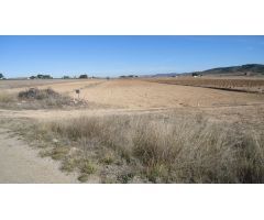 Finca rustica en Venta en Yecla, Murcia