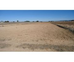 Finca rustica en Venta en Yecla, Murcia