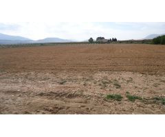 Finca rustica en Venta en Yecla, Murcia