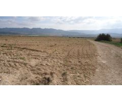 Finca rustica en Venta en Yecla, Murcia