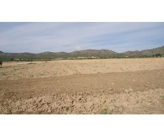 Finca rustica en Venta en Yecla, Murcia
