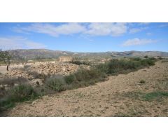 Finca rustica en Venta en Pinós, el/Pinoso, Alicante