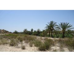 Finca rustica en Venta en Abanillas, Murcia
