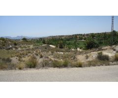 Finca rustica en Venta en Abanillas, Murcia
