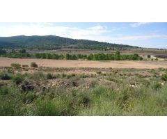 Finca rustica en Venta en Monóvar/Monòver, Alicante