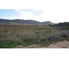 Finca rustica en Venta en Pinós, el/Pinoso, Alicante