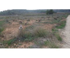 Finca rustica en Venta en Pinós, el/Pinoso, Alicante