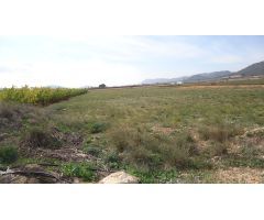 Finca rustica en Venta en Yecla, Murcia