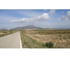 Finca rustica en Venta en Yecla, Murcia