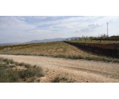 Finca rustica en Venta en Yecla, Murcia