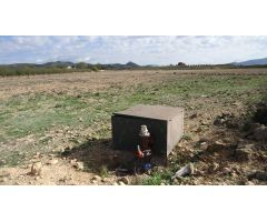 Finca rustica en Venta en Pinós, el/Pinoso, Alicante