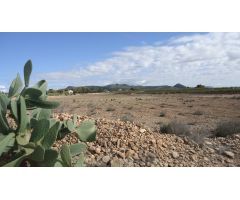 Finca rustica en Venta en Pinós, el/Pinoso, Alicante
