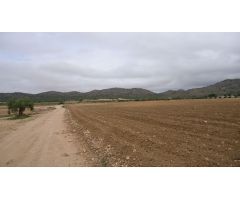 Finca rustica en Venta en Yecla, Murcia