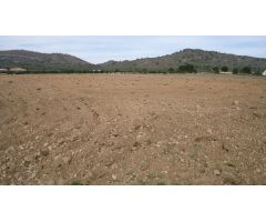 Finca rustica en Venta en Yecla, Murcia
