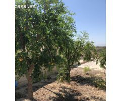 Chalet en Venta en Abanillas, Murcia