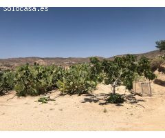 Chalet en Venta en Abanillas, Murcia