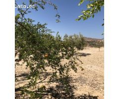 Chalet en Venta en Abanillas, Murcia