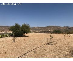 Chalet en Venta en Abanillas, Murcia