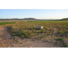 Finca rustica en Venta en Yecla, Murcia