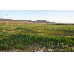 Finca rustica en Venta en Yecla, Murcia