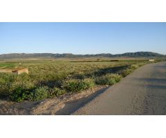 Finca rustica en Venta en Yecla, Murcia