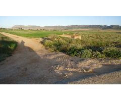 Finca rustica en Venta en Yecla, Murcia