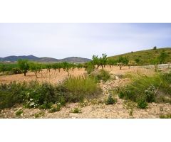 Finca rustica en Venta en Pinós, el/Pinoso, Alicante