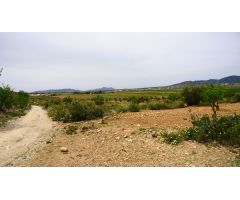 Finca rustica en Venta en Pinós, el/Pinoso, Alicante