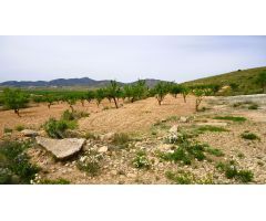 Finca rustica en Venta en Pinós, el/Pinoso, Alicante